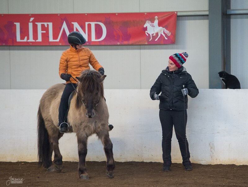 Riding lesson on the Icelandic horse