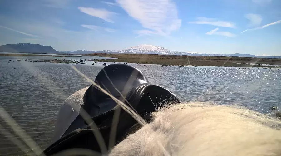 A saddle on the back of a horse. A river and volcano Hekla visible in background 