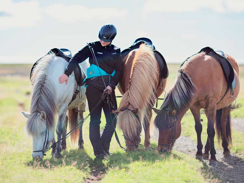 A rider standing with three horses that are eating grass