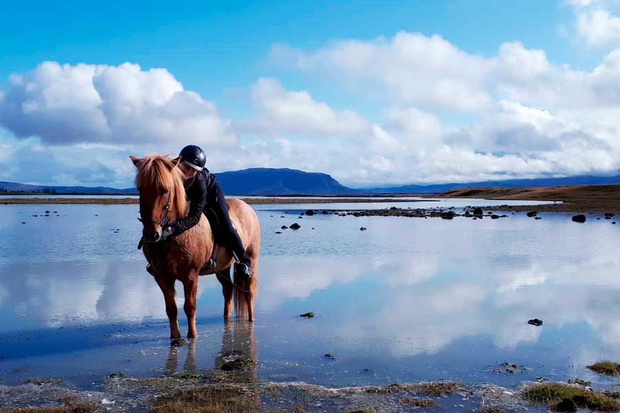 Into Nature at Icelandic HorseWorld