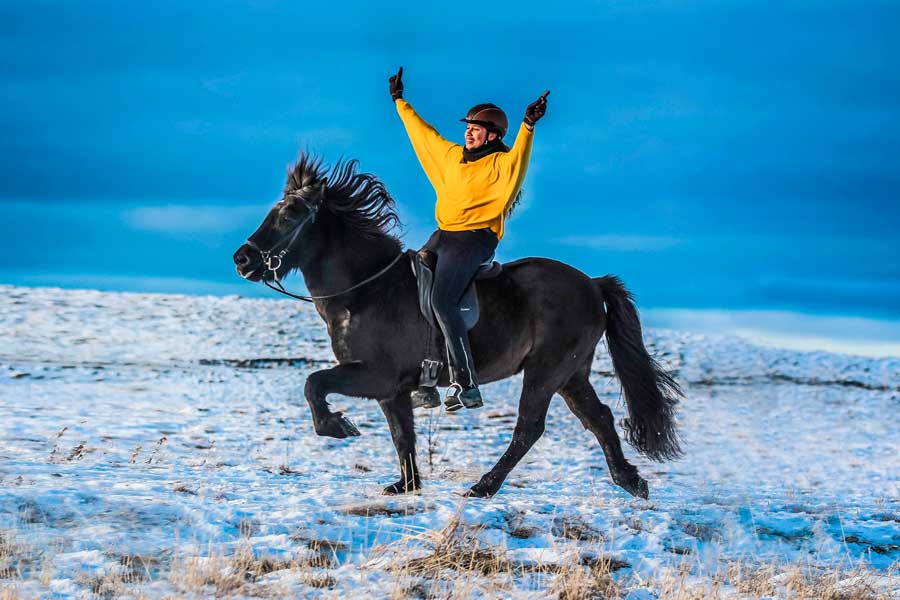 Mountains & Meadows at Icelandic HorseWorld