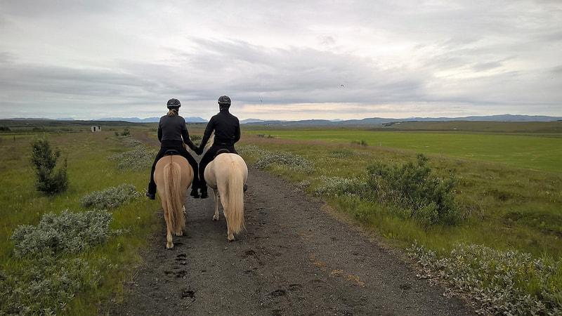 Riding tour on the Icelandic horses in south Iceland.