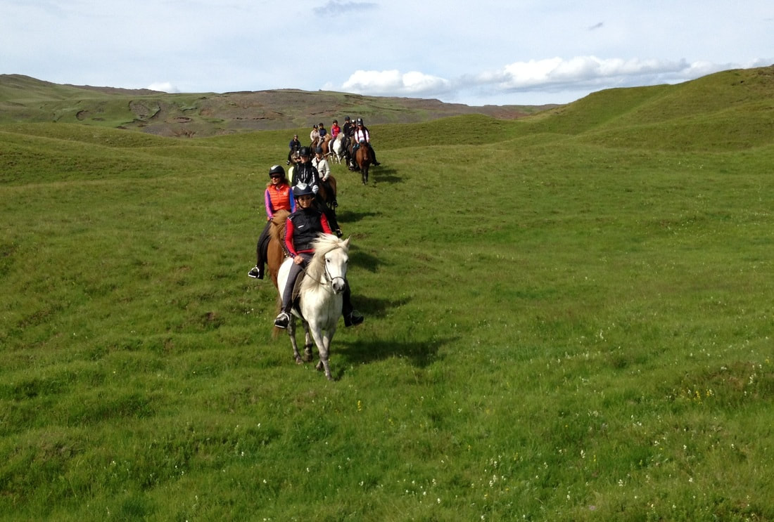 Horse riding tour in the Icelandic Countryside