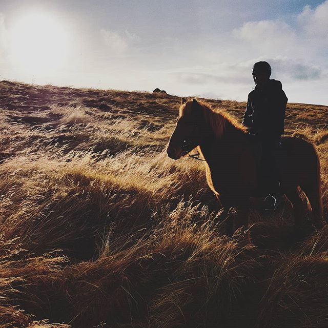 Riding tour with Icelandic Horseworld