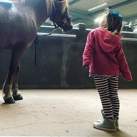Kids enjoying the stable at Icelandic Horseworld