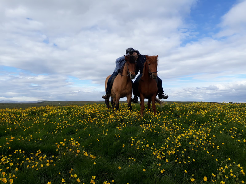 Romantic riding tour in Iceland.