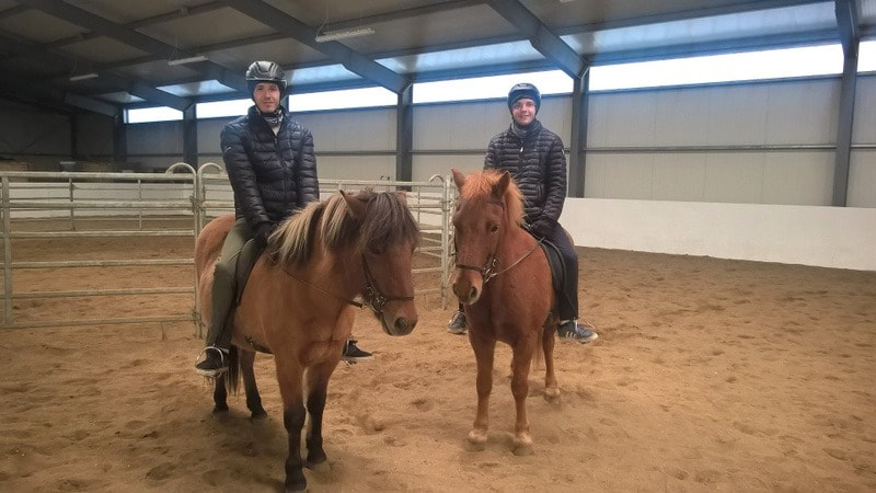 Riding icelandic horses in the riding hall