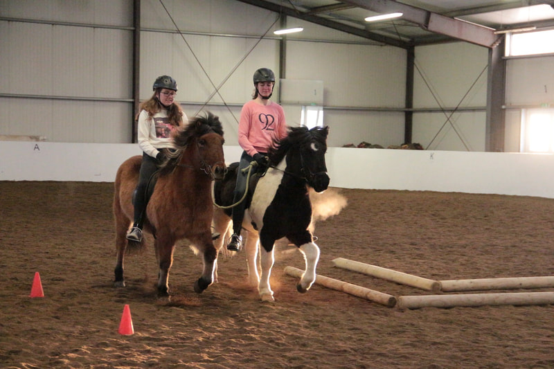 Riding the Icelandic horse in the stable combo at Icelandic Horseworld.