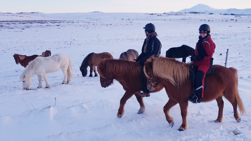 Riding tour in south Iceland