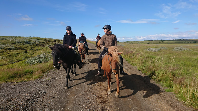 Riding tour in south Iceland.