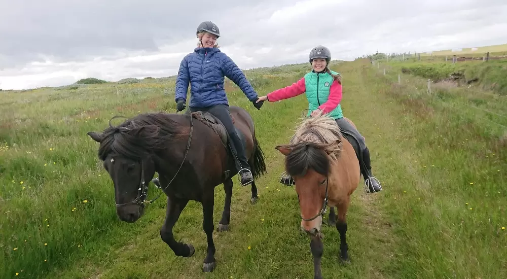 Riders holding hands while riding Icelandic horses