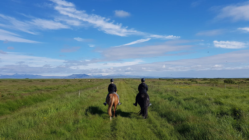 Horseback riding in the Icelandic countryside 