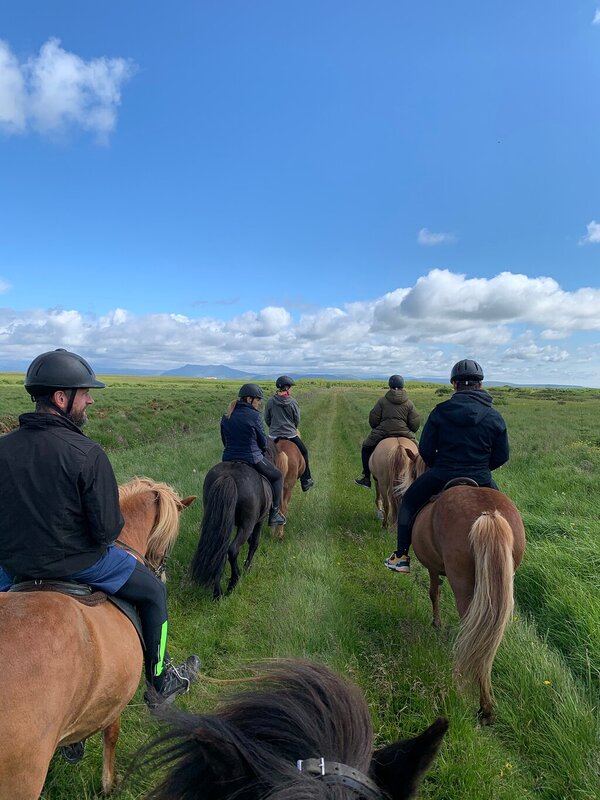 Riding tour in Iceland during the summer.